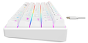 TECLADO MECANICO COMPACTO BLANCO CABLE TIPO C HAVIT 61 TECLAS RGB