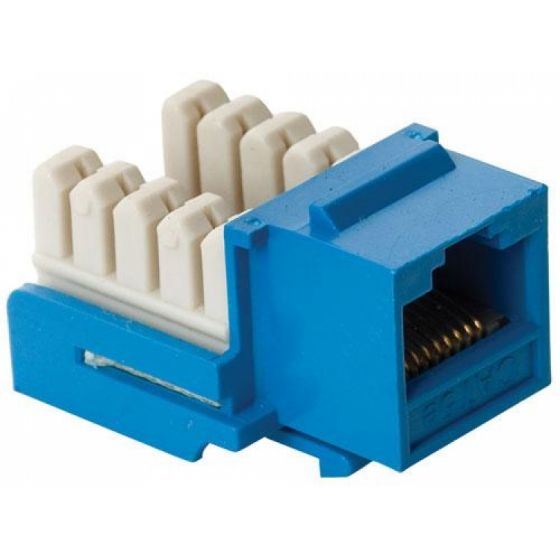 JACK RED RJ45 UTP 5E CABLEADO ESTRUCTURADO AZUL