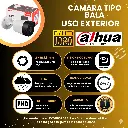 foto3.webp