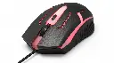 foto1.webp